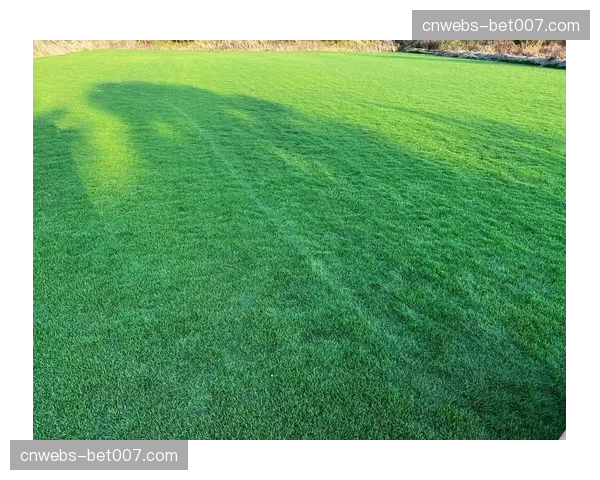 里昂俱乐部宣布主场更换草坪,新草皮将更有利于地面传切 里昂俱乐部宣布主场更换草坪,新草皮将更有利于地面传切