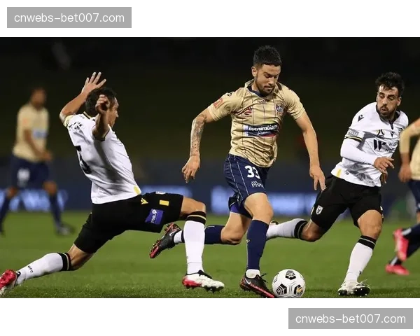 纽卡斯尔联队训练重点曝光：高强度压迫后的快速出球练习